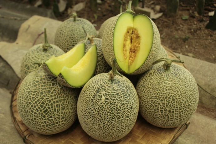 A pile of melons sitting on top of a wooden table